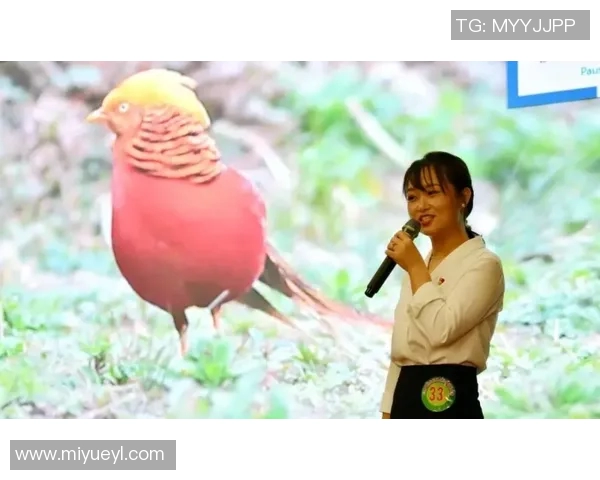 班菲特与波士顿的精彩对决解析与赛后点评